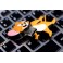 Stick Memorie Flash Drive USB 2.0 model Tom si Jerry
