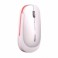 Mouse Optic Wireless model WS